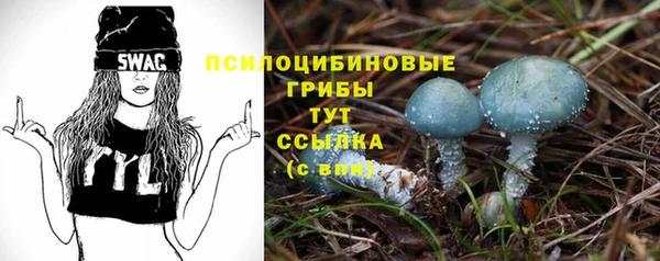 тгк Абаза
