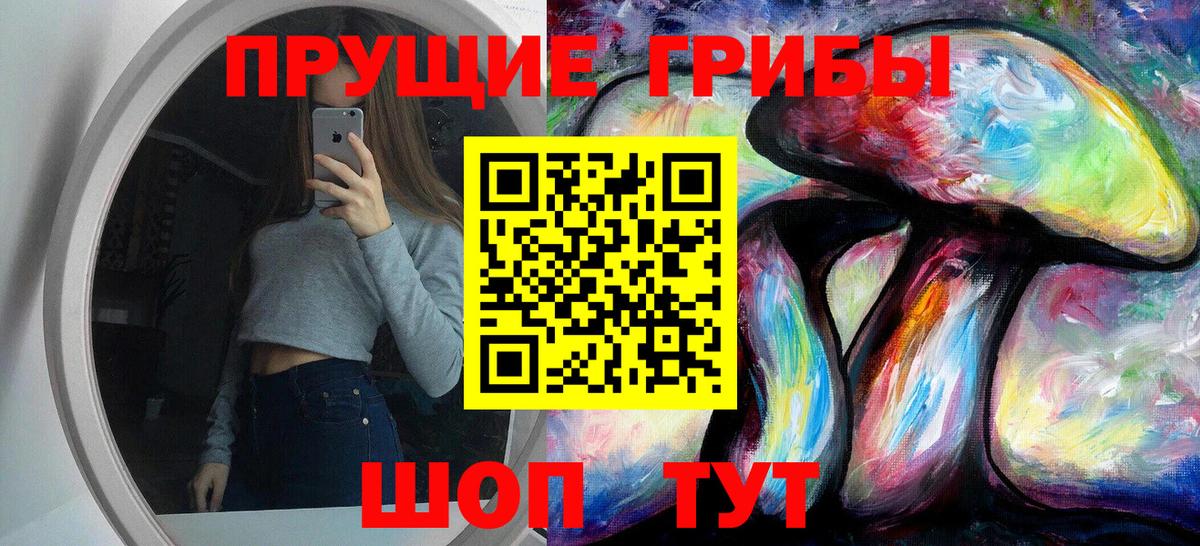 Зерноград  Псилоцибиновые грибы прущие грибы  Вход с VPN  Псилоцибиновые грибы мухоморы 