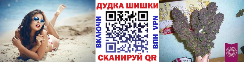 Шишки марихуана план  купить закладку  Зерноград 